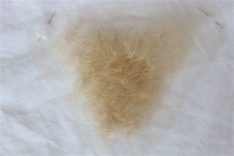 blonde pubes|Category : Pubic hair by color